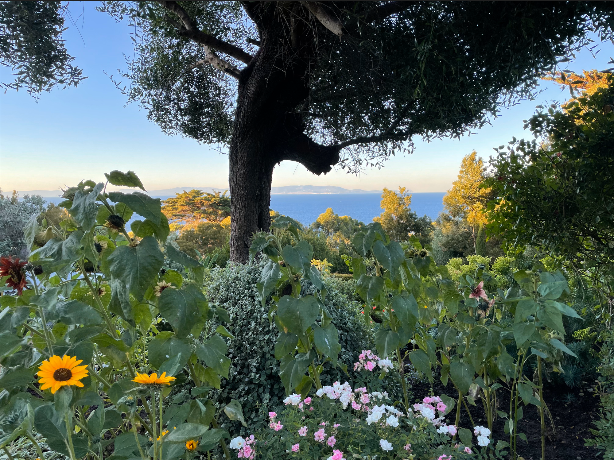 Yto Barrada's The Mothership