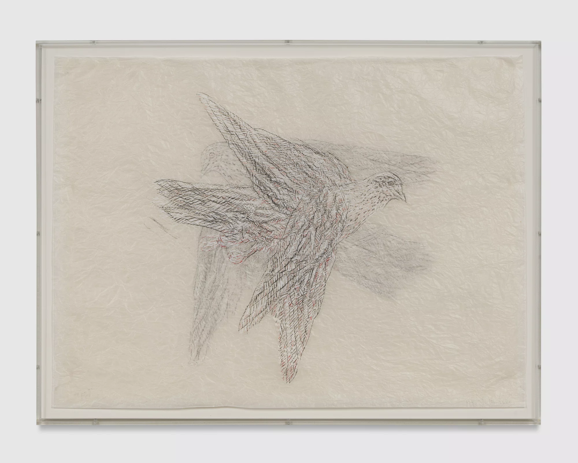 Shadow Drawing August by Kiki Smith