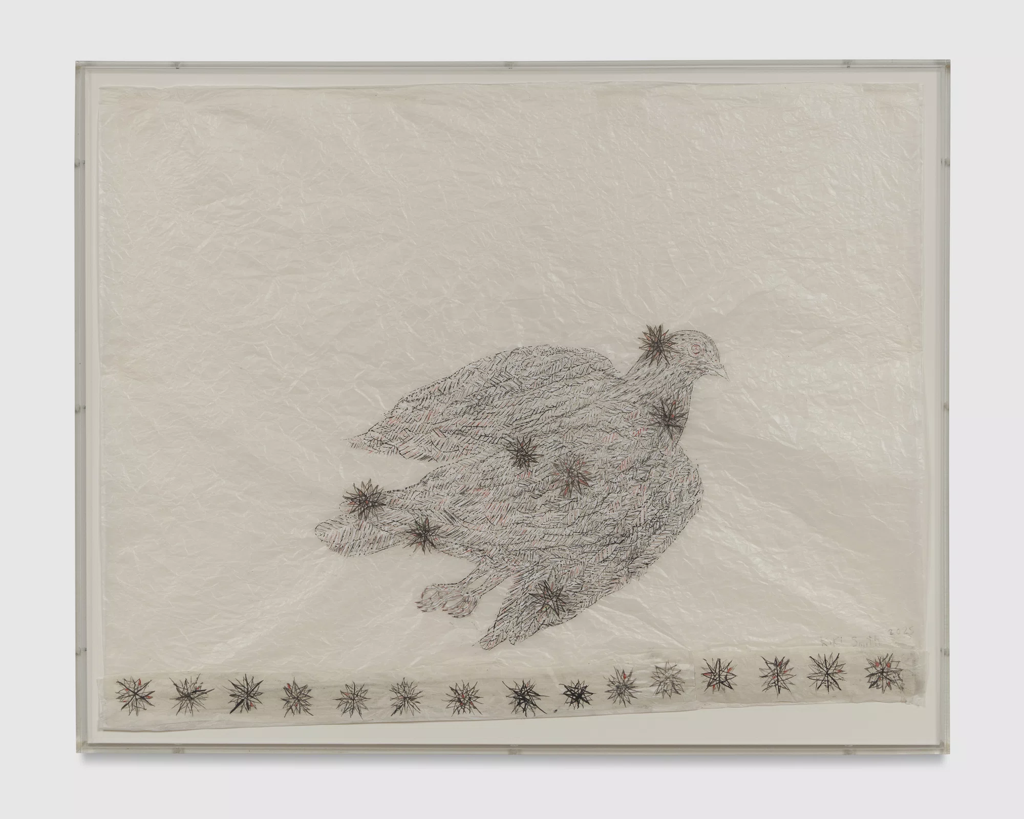 Shadow Drawing June by Kiki Smith