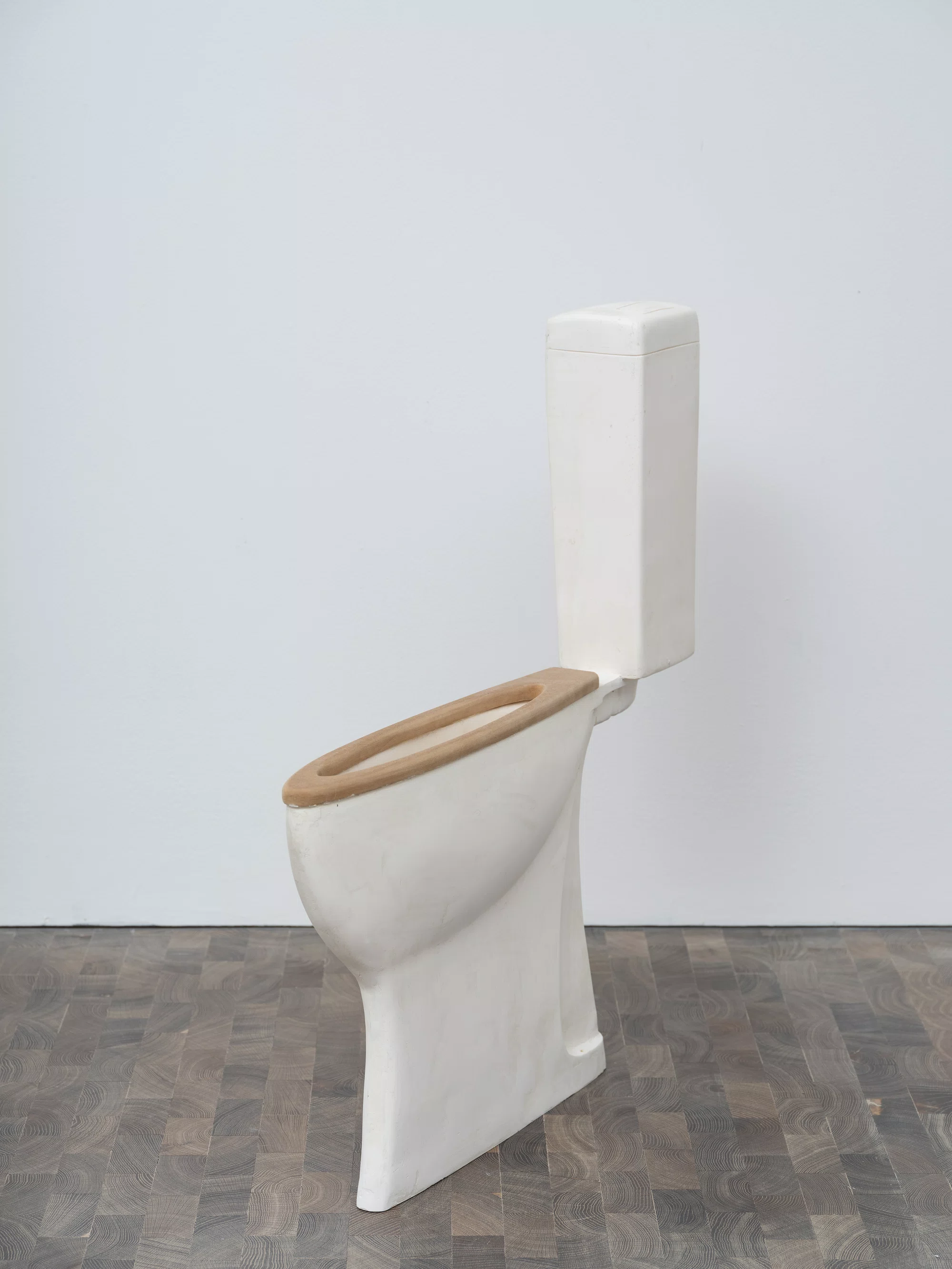 Toilet by Erwin Wurm