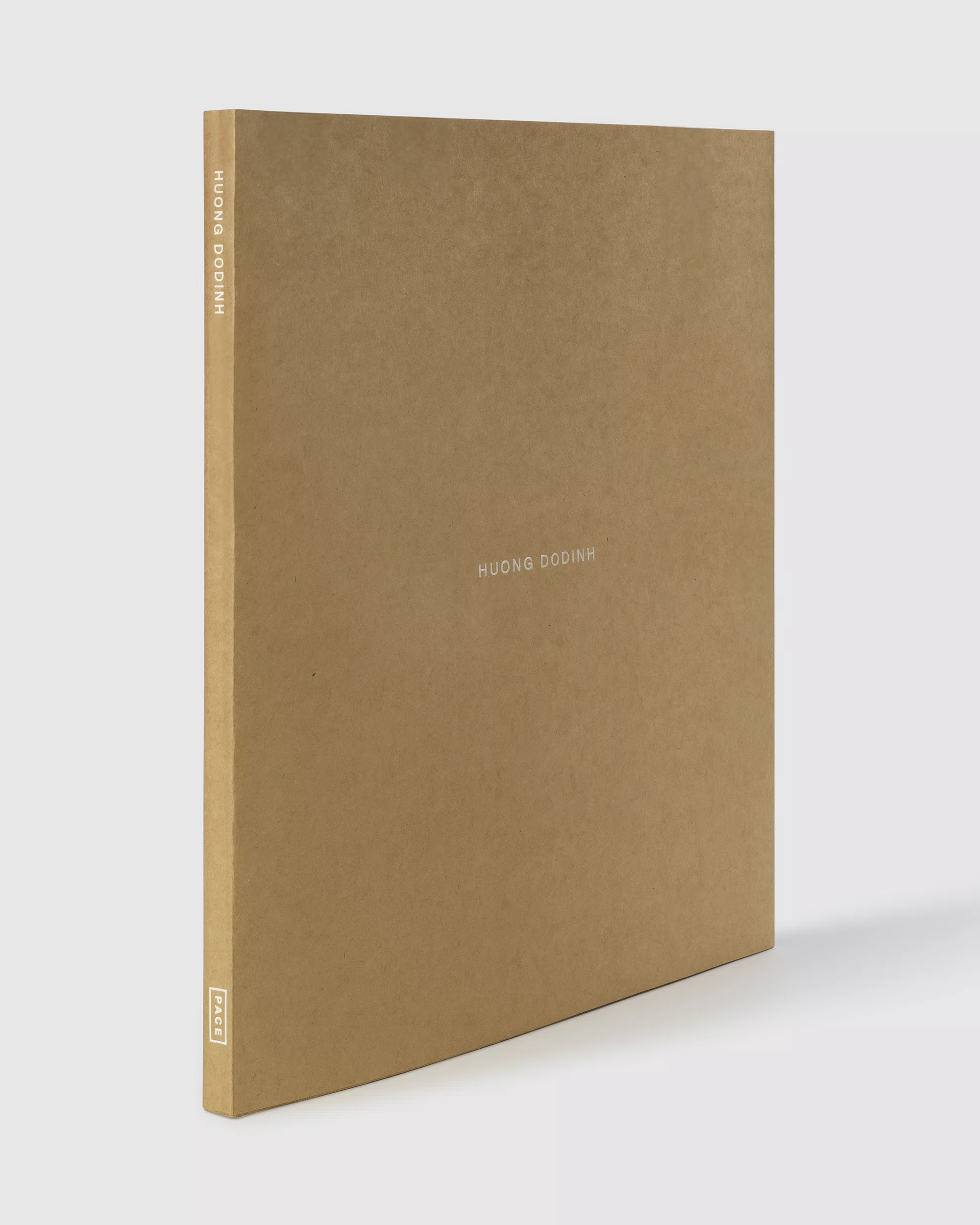 Cover of Huong Dodinh: Transcendence