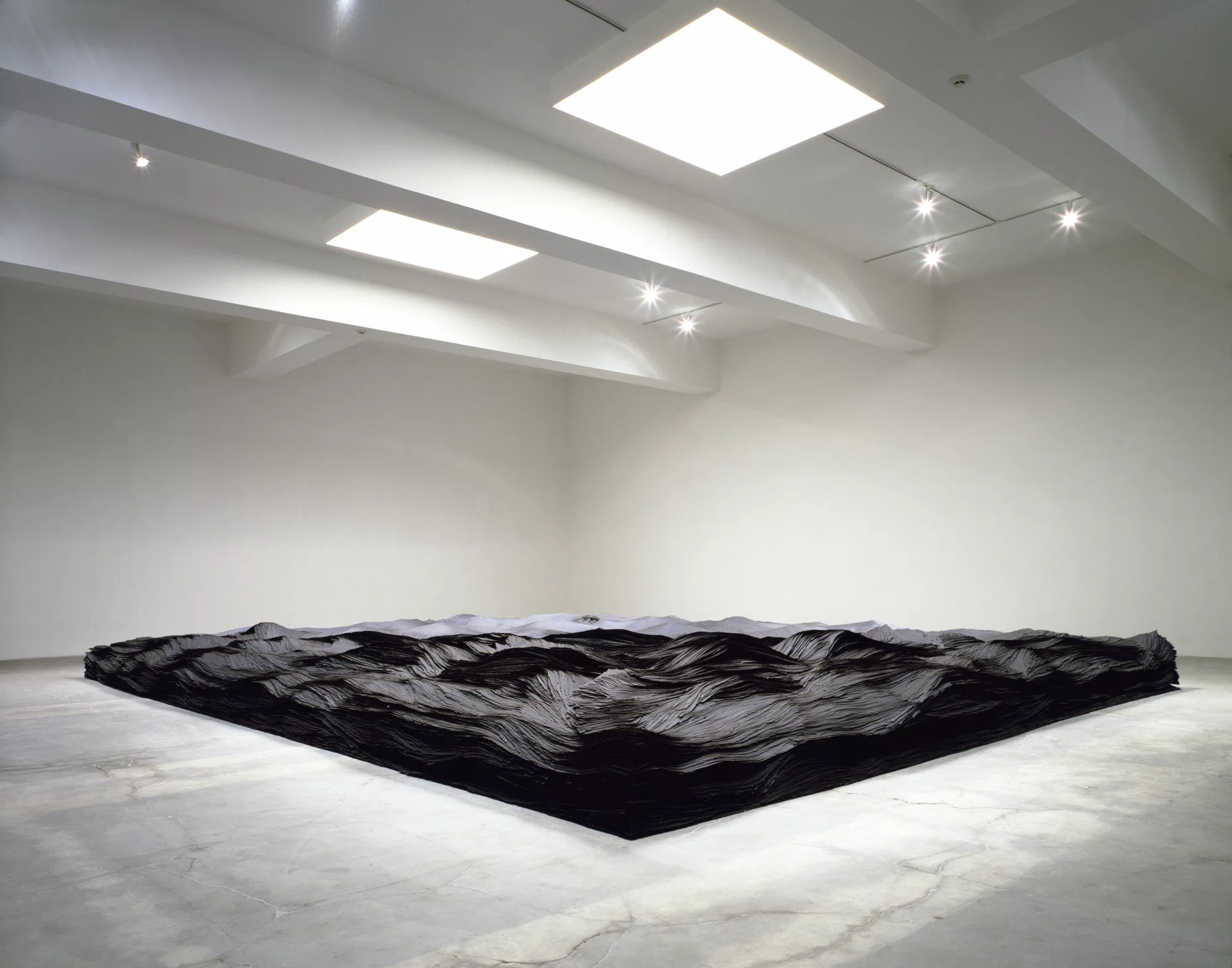 Transplanted by Tara Donovan